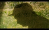 Hawk [Official Video]