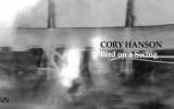 Bird on a Swing