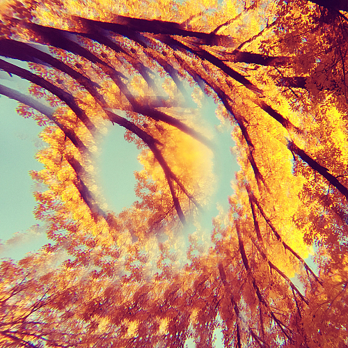 Promo photo for A Hawk and A Hacksaw