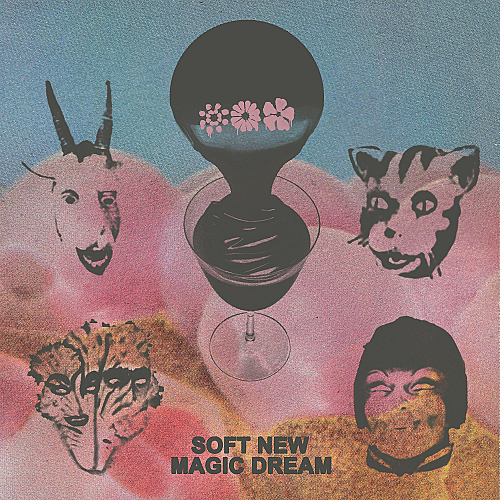 Promo photo for Black Moth Super Rainbow