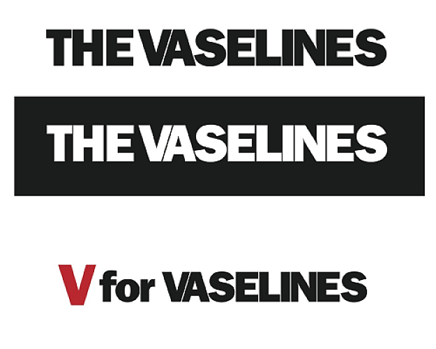 Promo photo for The Vaselines