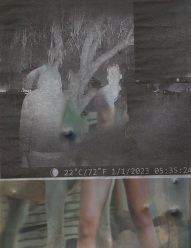 Promo photo for Dutch Interior