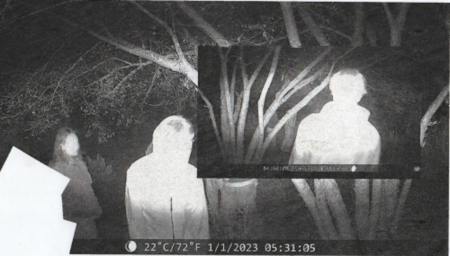 Promo photo for Dutch Interior