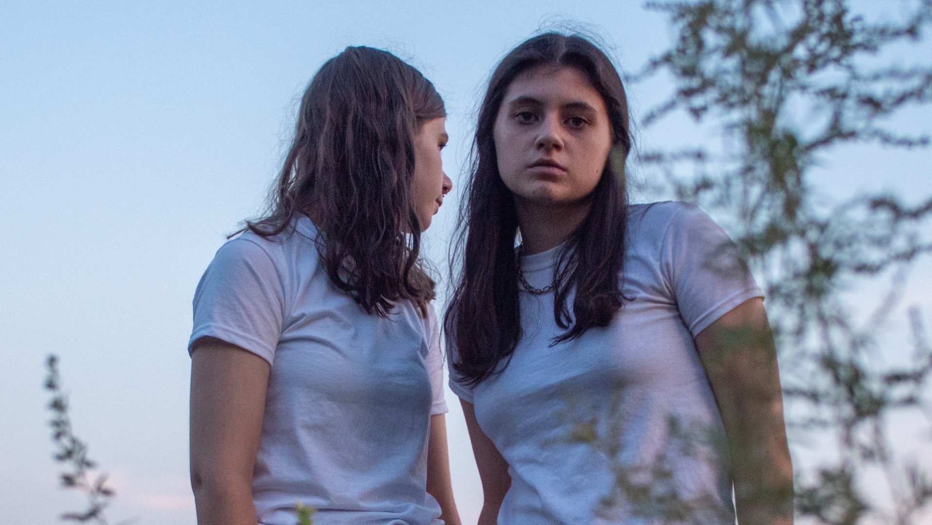 Circus Trees promo photo