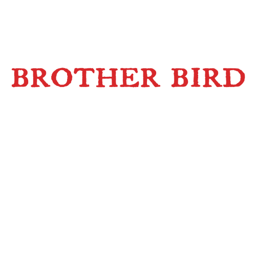 Promo photo for Brother Bird