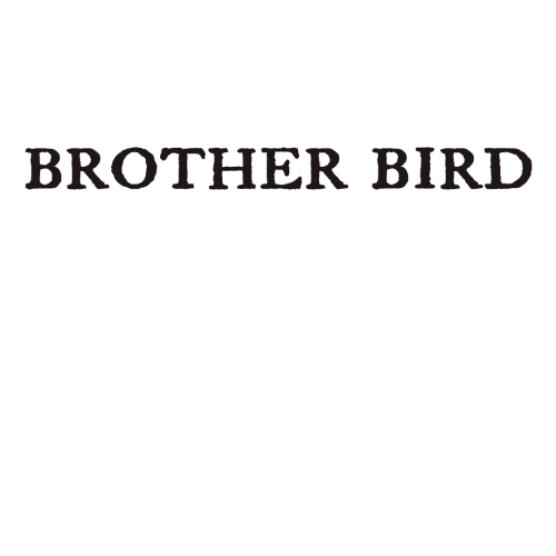 Promo photo for Brother Bird