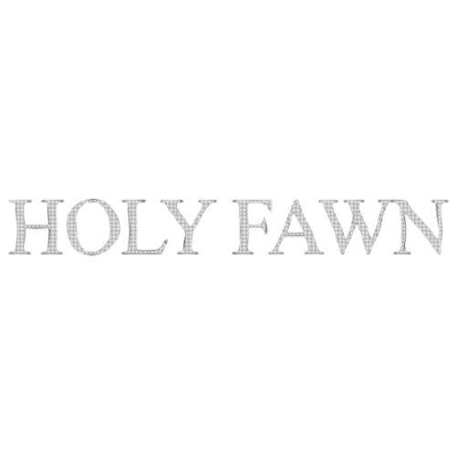 Promo photo for Holy Fawn