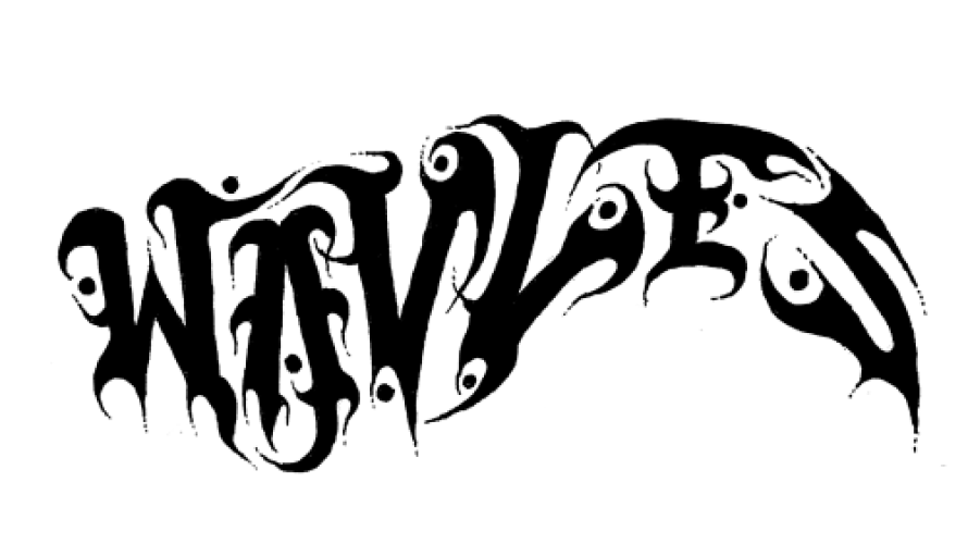 Promo photo for Wavves