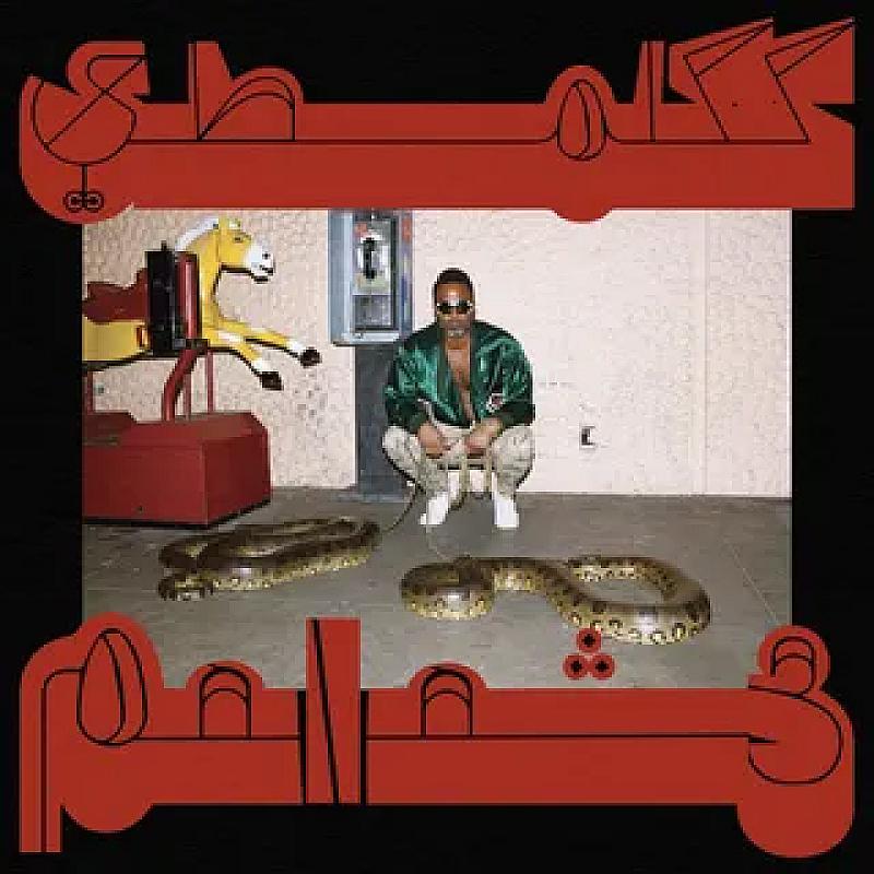 Pitchfork | Shabazz Palaces: Robed in Rareness Album Review