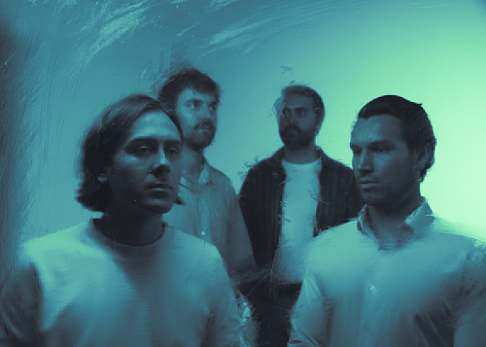 Promo photo for Meltt