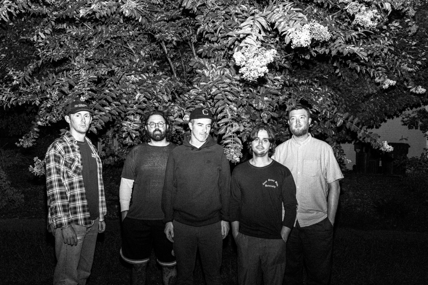 Fiddlehead promo photo