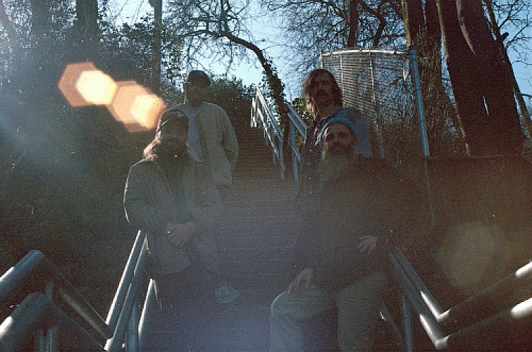 Promo photo for Dogs On Acid