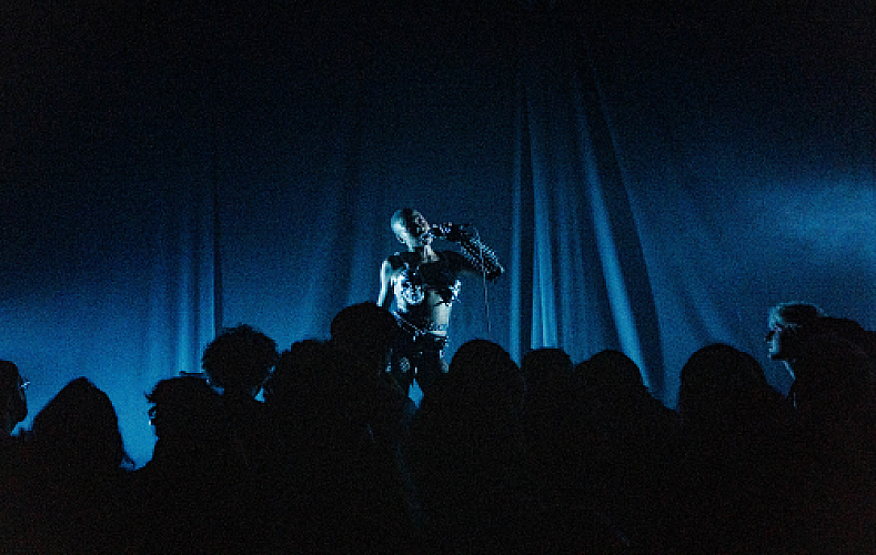 Promo photo for LustSickPuppy