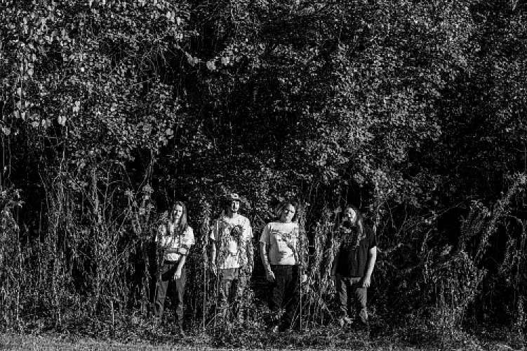 Promo photo for MSPAINT