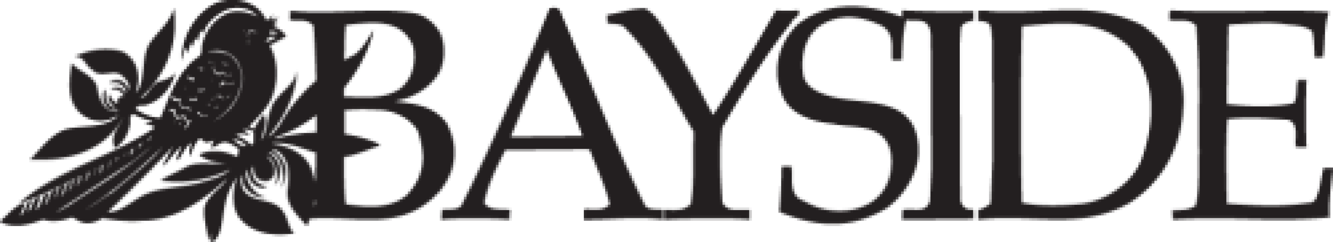 Promo photo for Bayside